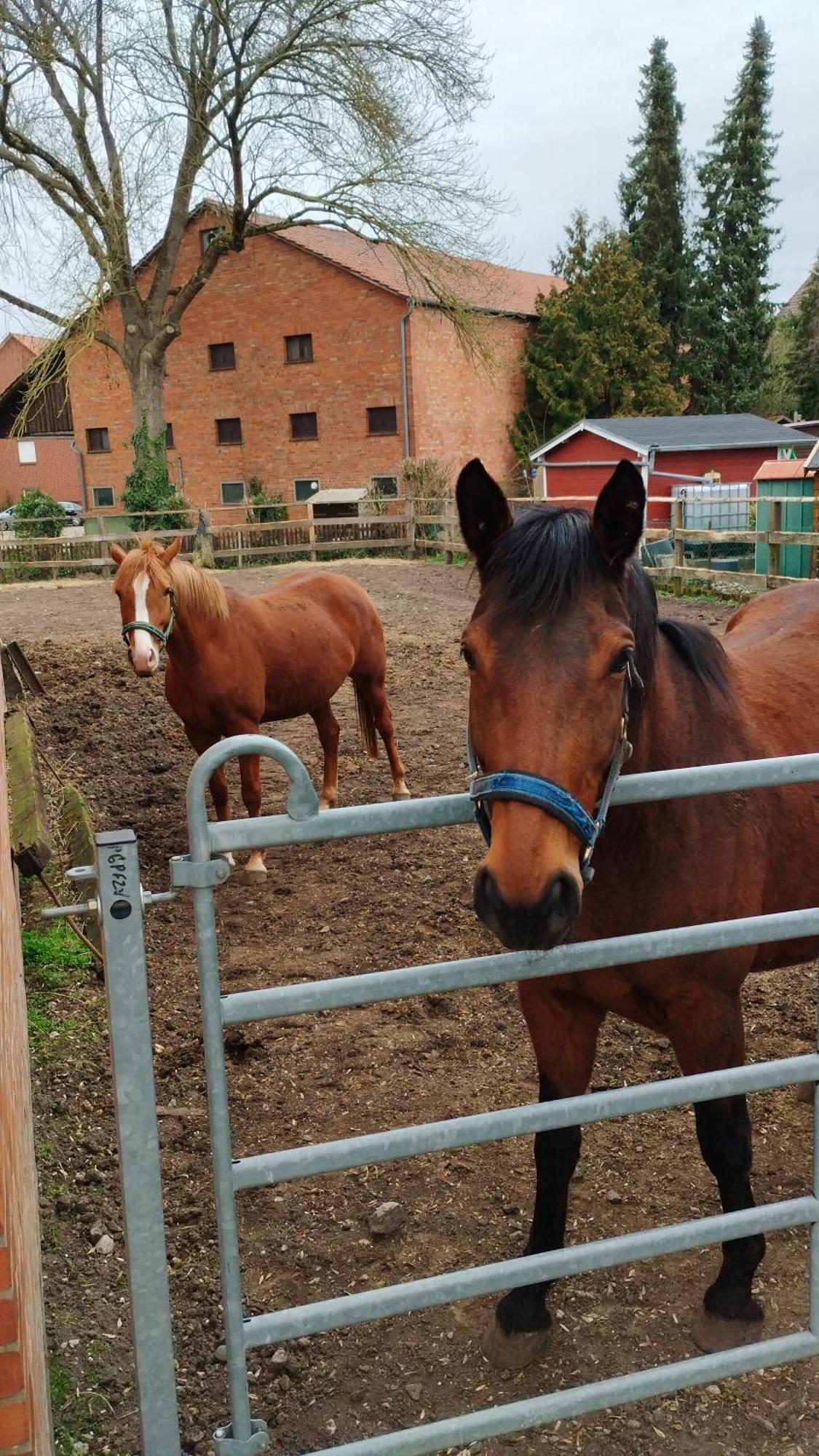 Appartement Wohnen Auf Dem Bauernhof